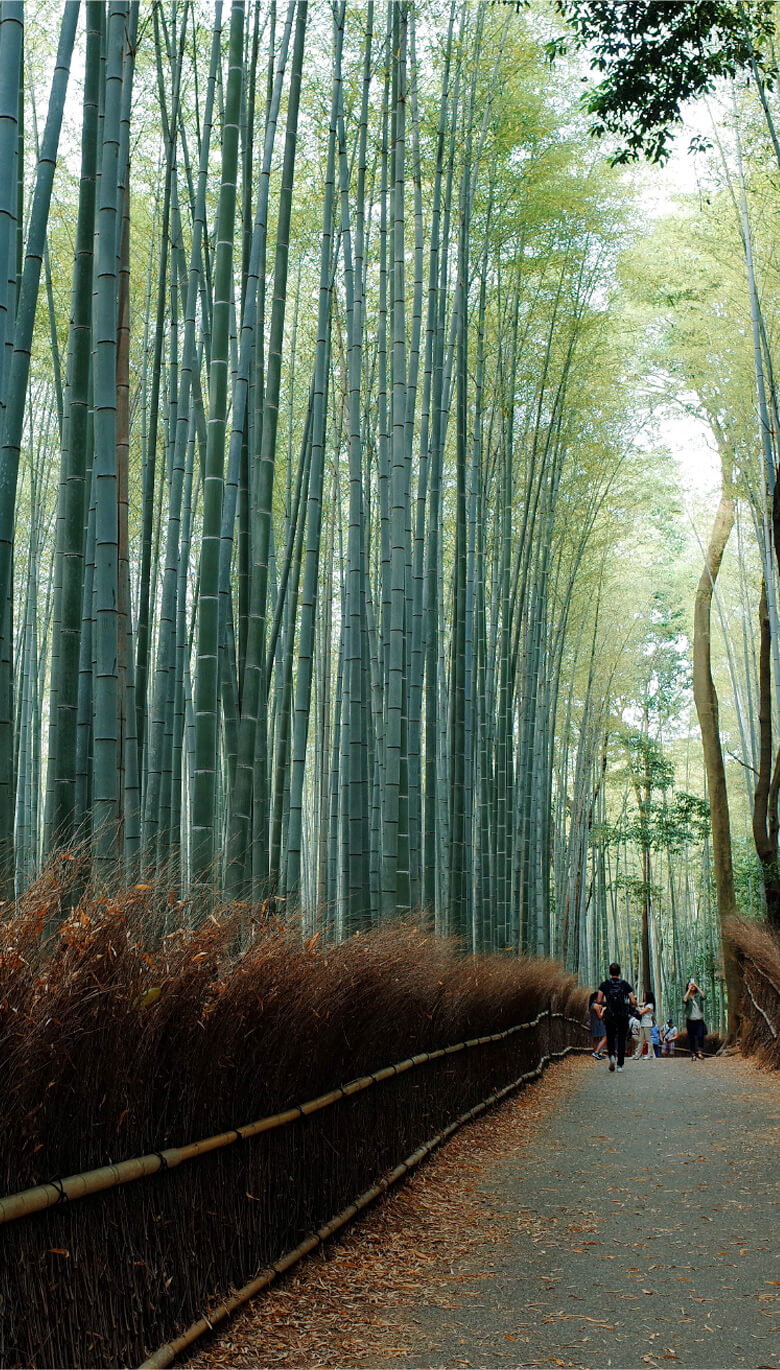 京都きち KYOTO KICHI 店舗景観
